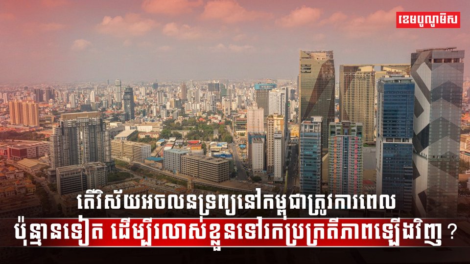 វិស័យអចលនទ្រព្យ