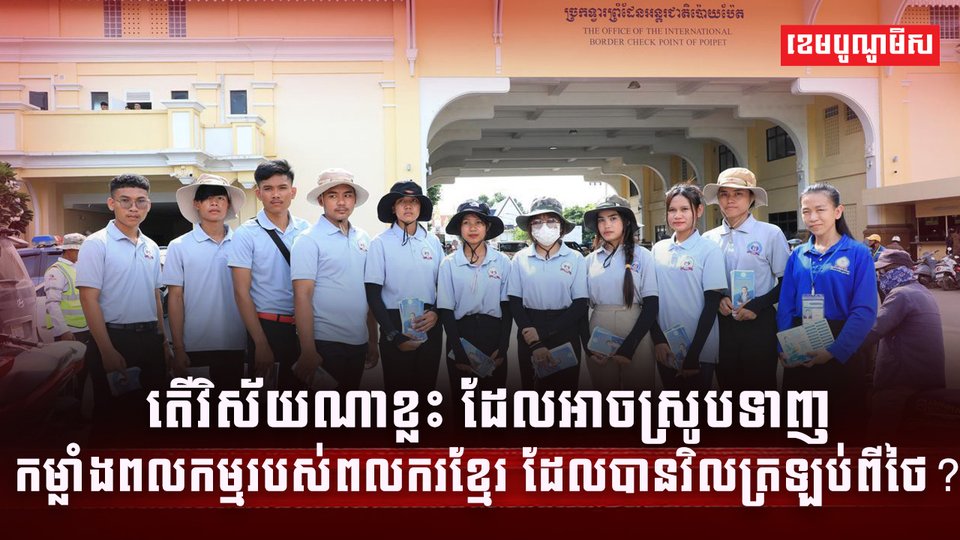 វិស័យការងារ