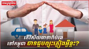 វិស័យធានារ៉ាប់រង