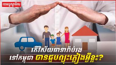 វិស័យធានារ៉ាប់រង