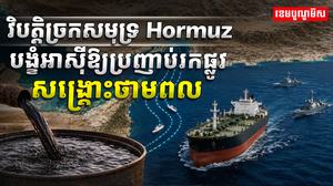 វិស័យថាមពល