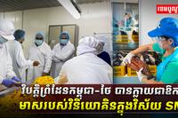 វិស័យ​ SME