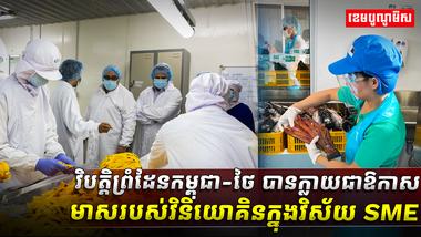 វិស័យ​ SME