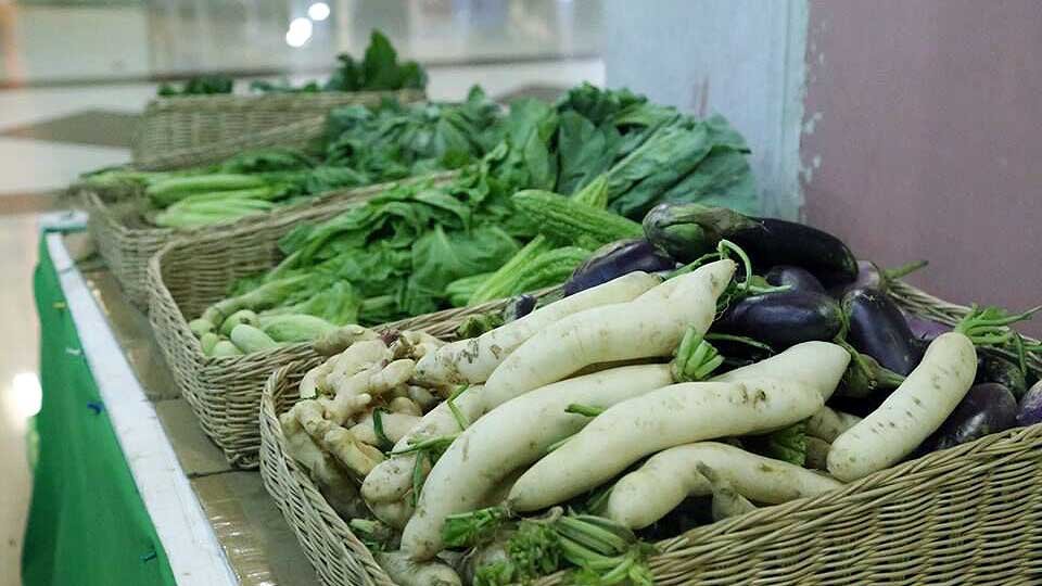 បន្លែសរីរាង្គ