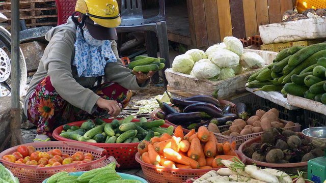 ឆ្នាំ​២០១៦ ជា​លើក​ដំបូង​បង្អស់​ហើយដែល​ការនាំ​ចេញ​បន្លែ​ផ្លែ​ឈើ​របស់​វៀតណាម​រក​ចំណូល​បាន​ច្រើន​ជាង​ការ​នាំ​ចេញ​ប្រេង​ឆៅ។ រូបភាព៖ Pixabay