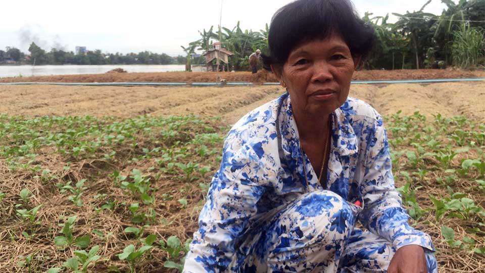 លោក​យាយ ញិល ប៉េង អ្នក​ដាំ​បន្លែ​នៅ​ស្រុក​ស្អាង ខេត្ត​កណ្ដាល