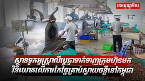 ការកែច្នៃគ្រាប់ស្វាយចន្ទី