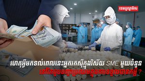 វិស័យ SME