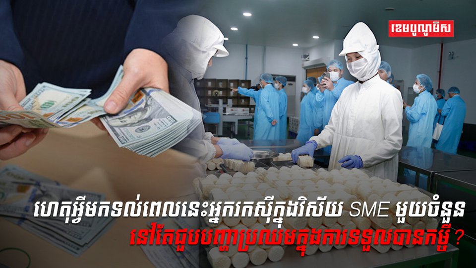 វិស័យ SME