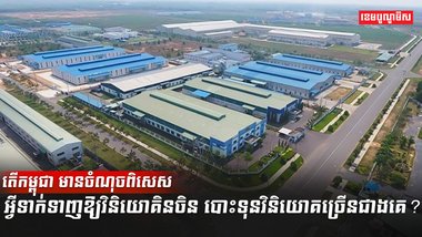 វិនិយោគិន
