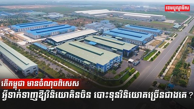 វិនិយោគិន