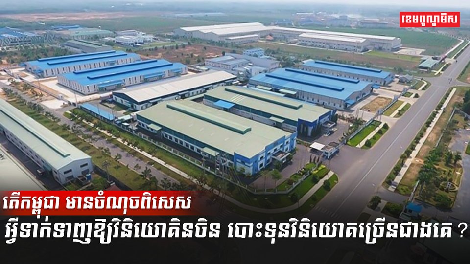 វិនិយោគិន