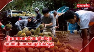 វិស័យកសិកម្ម