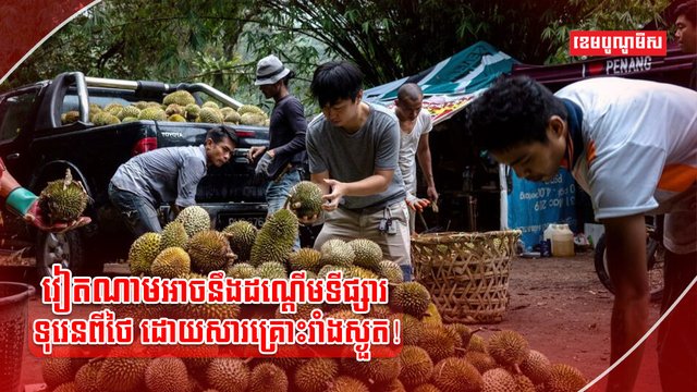 វិស័យកសិកម្ម