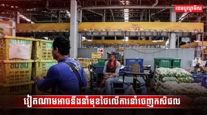 វិស័យទេសចរណ៍