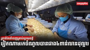វិស័យកសិកម្ម