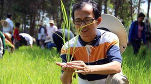បណ្ឌិត​ យ៉ង សាំងកុមារ អតីត​ប្រធាន​អង្គការ​កសិកម្ម សេដាក