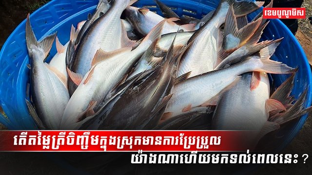 អ្នកចិញ្ចឹមត្រី