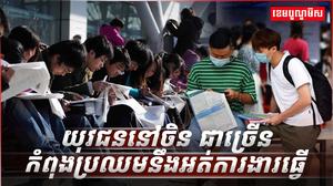 វិស័យការងារ