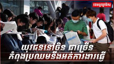 វិស័យការងារ