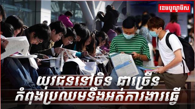 វិស័យការងារ